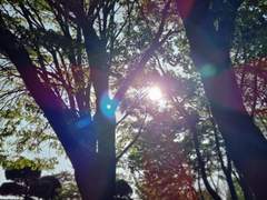 [하데스타운] 썰 백업 3