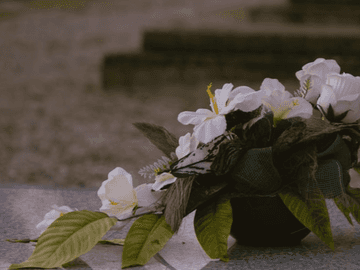 새끼손가락의 비명