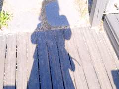 그림자가 눕는다