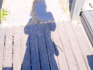 그림자가 눕는다