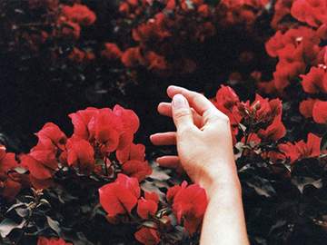 희고 붉은 포트폴리오