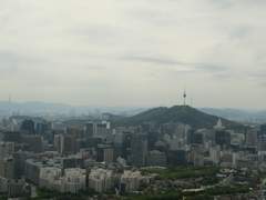 [농사일기] 어쩌면 강행군