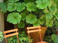 아름다운 피아노의 선율...