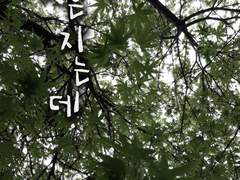 [듄유다]꽃은 지는데