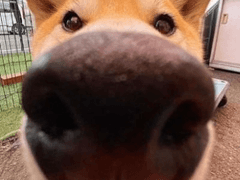 0428당신의생일을축하합니다(디비프레)