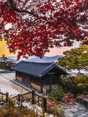 예한 사극 습작소설 창작모음