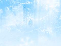 (고유 단편회지) 백일초(百日草)