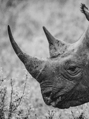 어디까지 가나 보자