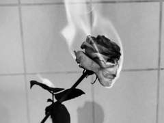 ＃돌고 돌아 너,