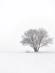 희고 가느다란 것