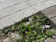 오픈런으로 살아보기