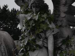 8월 32일의 유령