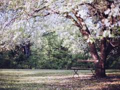 [뷔진] 그래도 넌 나를 택했을까