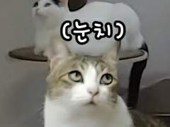 127막내 김여주 모먼트 EP.40