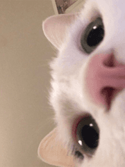 난새의 잡담 저장소