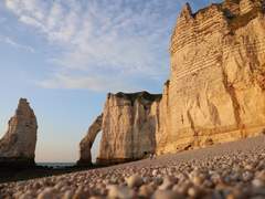 (닌자고)하염없이 기다리면 좀 나아질지도 모르겠다