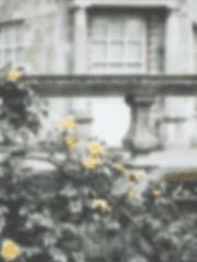 오버드 프로젝트: 꿈을 꾸는 아이들