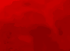 [잔월커 프로필]