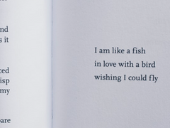 랄ㄹㄹㄹ라 하하ㅏ하ㅏ핳ㅎ