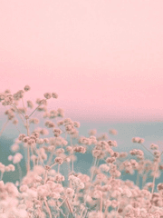 雪과 然의 四季