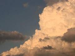 백적대, 홍유인.