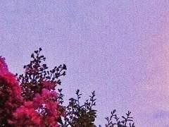 사랑하는 모두에게