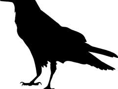 샤를로트 레이븐 / 여성 / 종교 / 자작