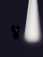 조명을 바라보는 고양이