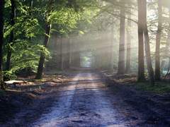 [당보청명] 인도(引導)