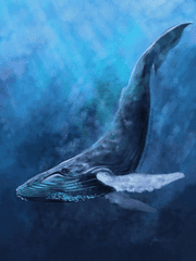 고래야, 네 이야길 들려줘