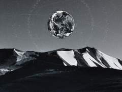 Vicente Jacaranda/20/XY/니그로르/룩