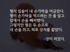 히이린_장미 피었다.