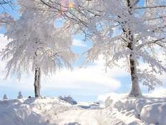 한겨울 못 잊을 사람하고