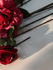 Cocktail bianco e nero