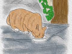 [길냥이 그리기 챌린지] 020 노랑이도 짝귀