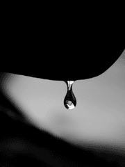 Salvation Recycle(살베이션 리사이클)