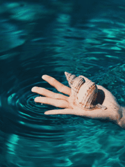 들리지 않는 노래