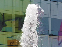 잠깐의 산책 겸 풍경 조금 담기 ( 1 )