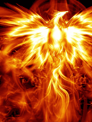 황후의 시대(전기)