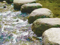 잠깐의 산책 겸 풍경 조금 담기 ( 2 )