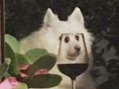 [청소년] 담배 피던 일찐짱 선배한테 혼난 썰