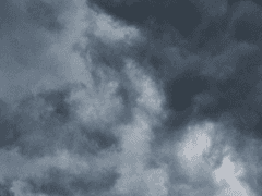 죽지도 않고 한을 품지도 않으며 미워하는 것도 없는, 영원히 당신의 것이 되지 않을 사람.