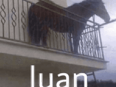 블루 라이언 / 청명사자(青毛狮子)