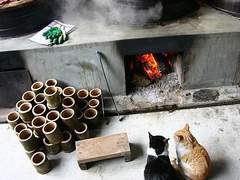 불을 때다 /이도은