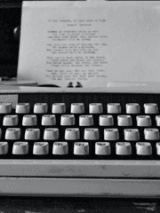 마른 나무 위의 새둥지