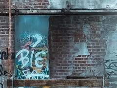 담여일/XY/1/애쉬 헤베