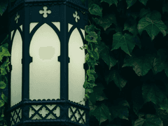 그가 무서워하는 것은,