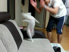 2주 휴가 다녀오겠습니다!