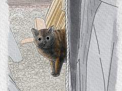 [길냥이 그리기 챌린지] 021 카오스 무늬 녀석