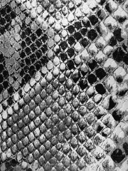 내일을 풀어둔 편지